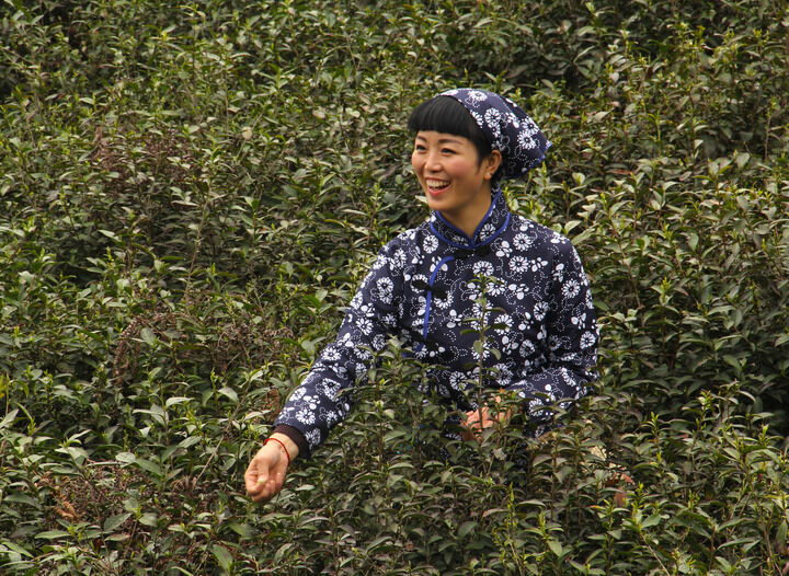 韩国女主播在线 悬疑影片